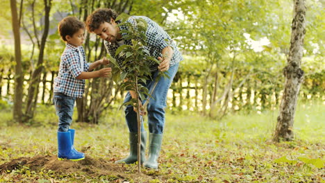 Closeup.-Portrait-of-a-little-boy-and-his-dad-planting-a-tree.-Dad-come-up-to-his-son-and-explains-something.-They-touch-the-leaves.-Blurred-background